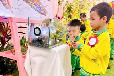 Bài giảng – Khám phá con ốc sên Lứa tuổi 4-5 tuổi