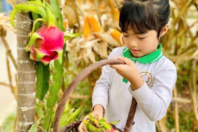 Kế hoạch giáo dục khối 5 tuổi chủ đề “Ngành nghề”