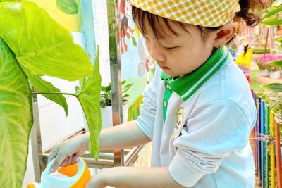 Kế hoạch giáo dục khối 4 tuổi chủ đề “Thế giới động vật”