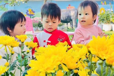 Kế hoạch giáo dục khối Nhà Trẻ chủ đề “Những con vật đáng yêu”