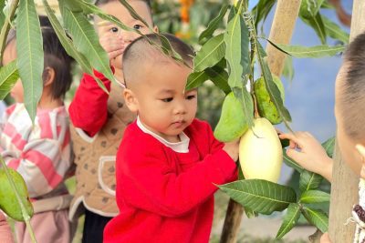 Kế hoạch giáo dục khối Nhà Trẻ chủ đề “Bé và các bạn”