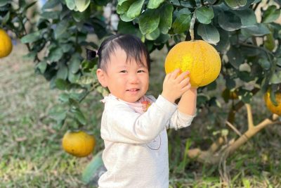 Kế hoạch giáo dục khối Nhà Trẻ chủ đề “Gia đình”