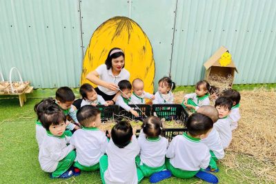 SHCM theo nghiên cứu bài học – HĐ “Quan sát con gà con” của các bé khối Nhà trẻ